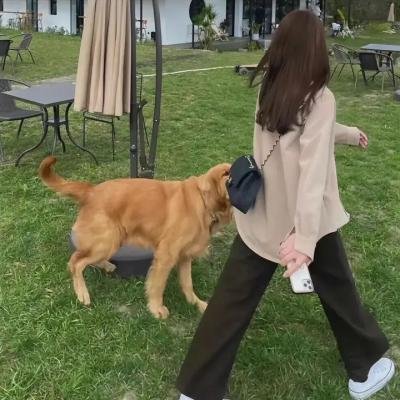 应求之爱